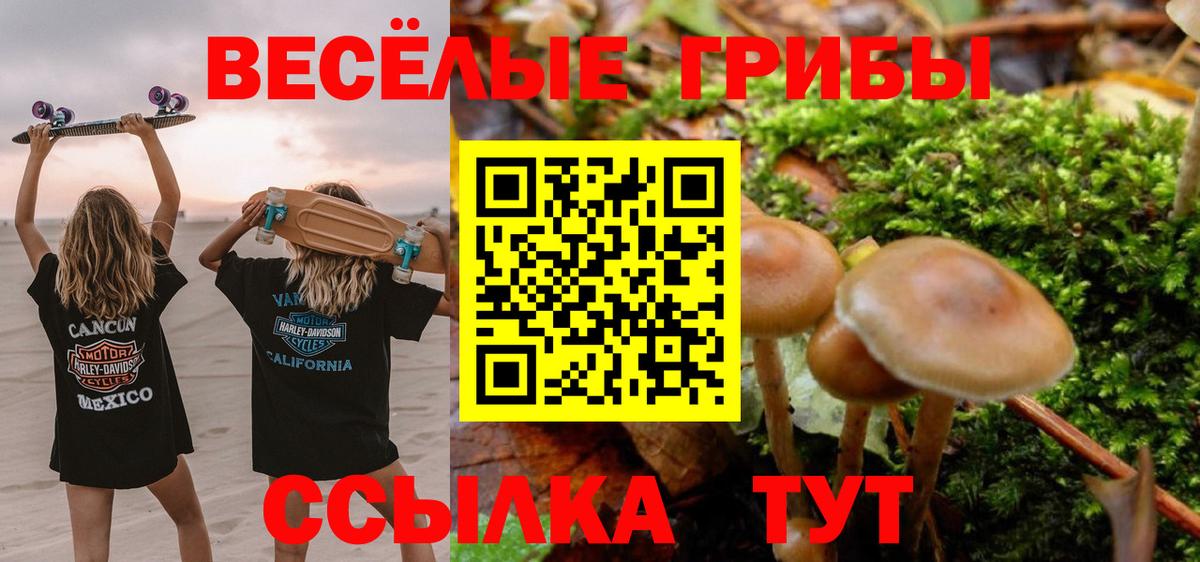 Галлюциногенные грибы MAGIC MUSHROOMS Кыштым