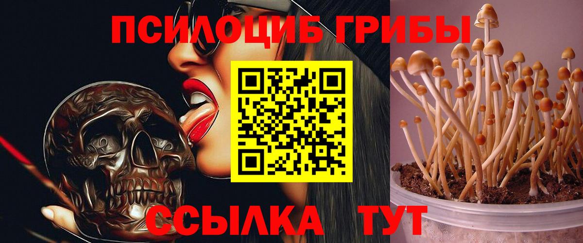 Кыштым  Псилоцибиновые грибы Psilocybine cubensis  Вход с VPN  Галлюциногенные грибы Magic Shrooms 