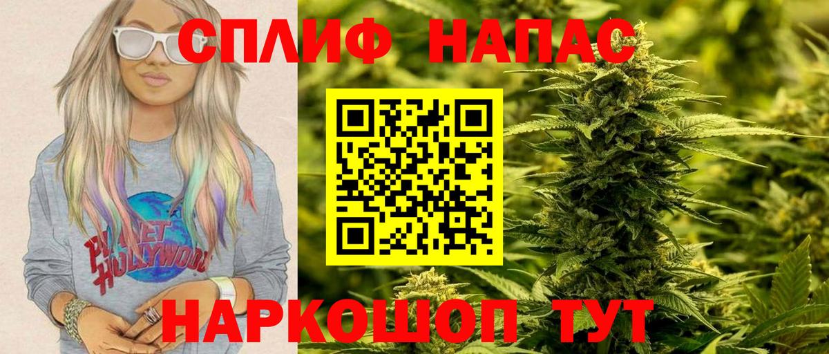 Канабис гибрид Кыштым